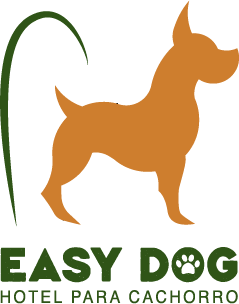 Easy Dog